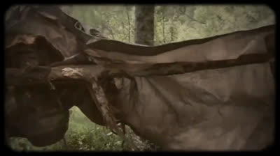 Terreur Dans Les Bois - S01E02 - Bigfoot - Le fantôme de la grotte VOSTFR