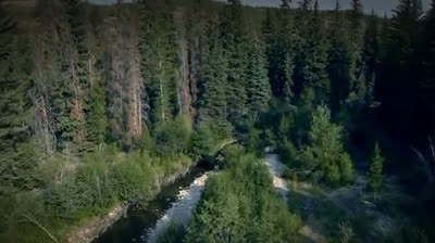 These Woods Are Haunted S02E02 Was It Trying to Kill Me and The Blue Ridge Encounters.vostfr