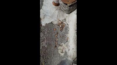 BOMBAZO EN MI PUERTA DE DIA