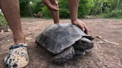 Carretera Salvaje (Episodio 3)