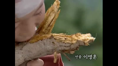 Una Joya en el palacio capitulo 3