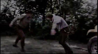 Immortal Combat (1994)