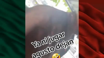 Dosis de Risa Mexicana: Videos de Risa, Imposible No Reirse en el 2023