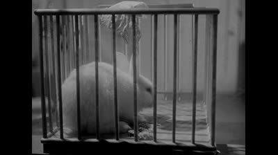 City That Never Sleeps (1953)